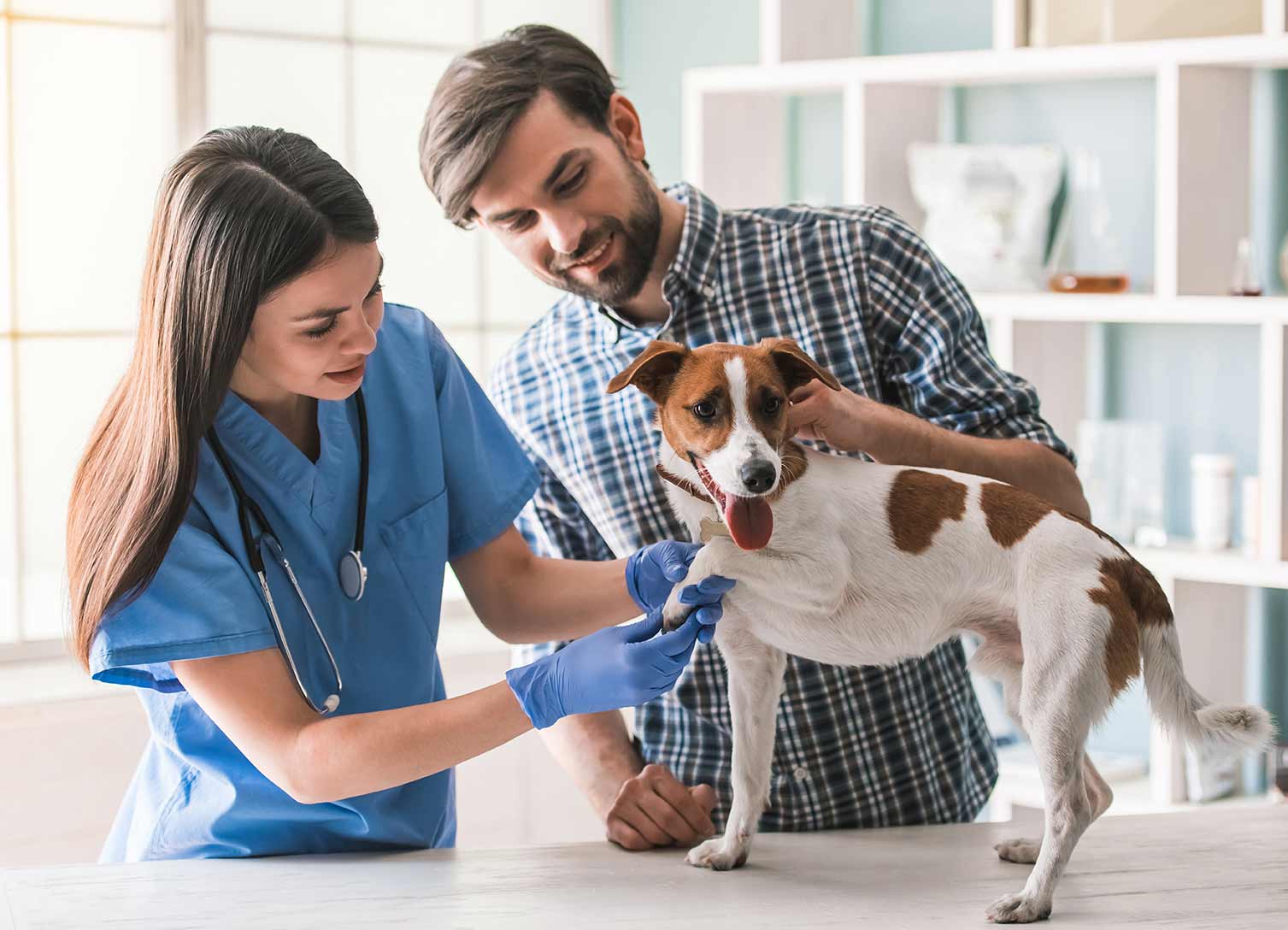 Veterinary Ultrasonic Cleaners